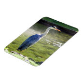 Graureiher Flexible Foto Magnet #3 (Linke Seite)