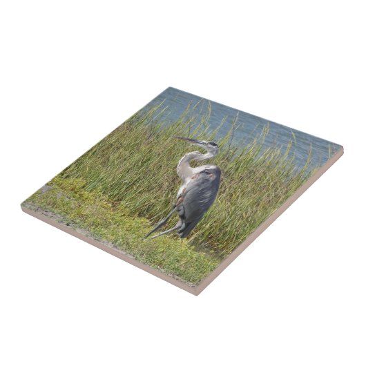 Graureiher Fliese (Seite)