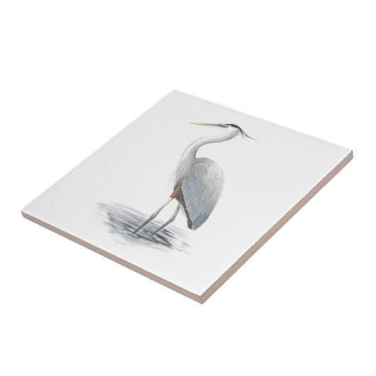 Graureiher-Fliese Fliese (Seite)