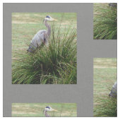 Graureiher - Garten Stoff (Nahaufnahme)