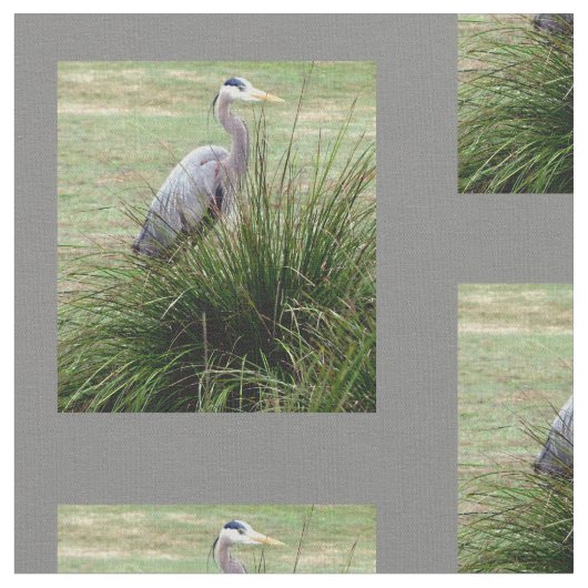 Graureiher - Garten Stoff (Nahaufnahme)