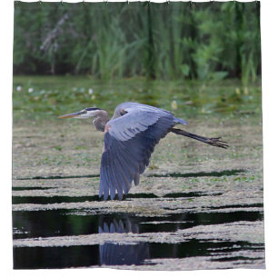 Graureiher im Flug Duschvorhang