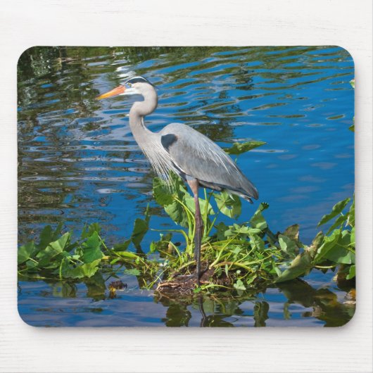 Graureiher im See Mousepad (Vorne)