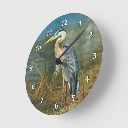 Graureiher in dem Teich Runde Wanduhr (Winkel)