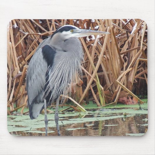 Graureiher-Jagd im Winter Mousepad (Vorne)