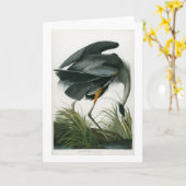 Graureiher, John James Audubon Karte (Gelbe Blume)