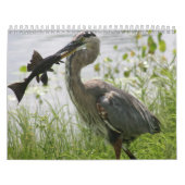 GRAUREIHER KALENDER (Titelbild)