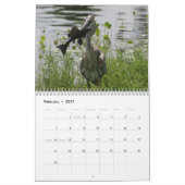 GRAUREIHER KALENDER (Feb 2027)