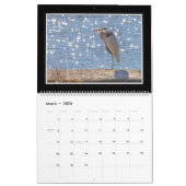 Graureiher-Kalender 2018 durch Thomas Minutolo Kalender (Mär 2026)