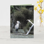 Graureiher Karte (Gelbe Blume)