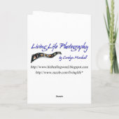 Graureiher Karte (Rückseite)