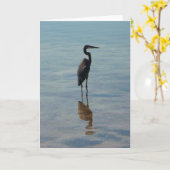 Graureiher Karte (Gelbe Blume)