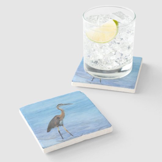 Graureiher, kundengerecht steinuntersetzer (Seitenansicht)