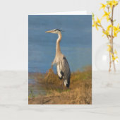 Graureiher-leere Anmerkungs-oder Gruß-Karte Karte (Gelbe Blume)