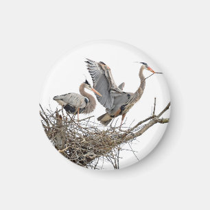 Graureiher Magnet