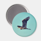 Graureiher Magnet (Vorderseite/Rückseite)