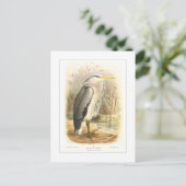 Graureiher Postkarte (Stehend Vorderseite)