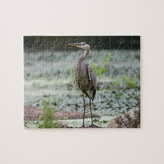 Graureiher Puzzle (Horizontal)