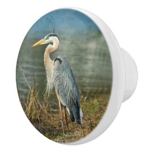 Graureiher-Vogel in dem Teich Keramikknauf (Rechts)