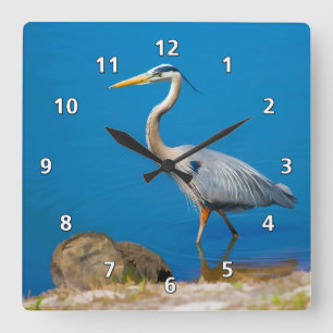 Graureiher-Vogel in dem Teich Quadratische Wanduhr