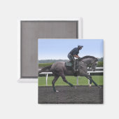 Graurennmagnet Magnet (Vorderseite/Rückseite)