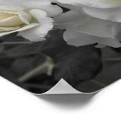 Graurose Poster (Ecke)