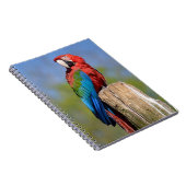 Grauschimmel Notizblock (Rechte Seite)