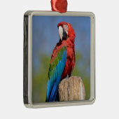 Grauschimmel Ornament Aus Metall (Rechts)