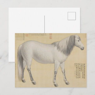Grauschimmel-Pferd - Vintage chinesische Feinmaler Postkarte