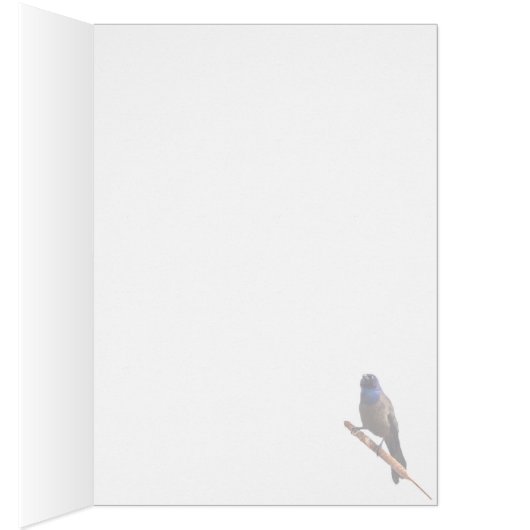 Grauschnabel (Innen (Rechts))