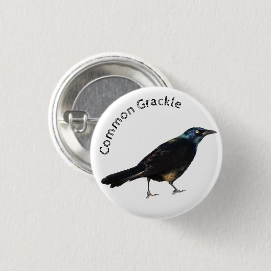 Grauschnabel Button (Vorne & Hinten)