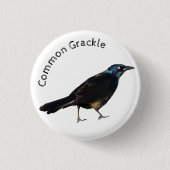 Grauschnabel Button (Vorderseite)
