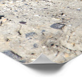 Grauschnabelposter Poster (Ecke)