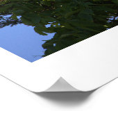 Grauschnabelposter Poster (Ecke)