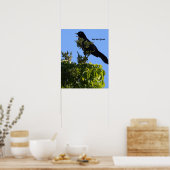 Grauschnabelposter Poster (Küche)