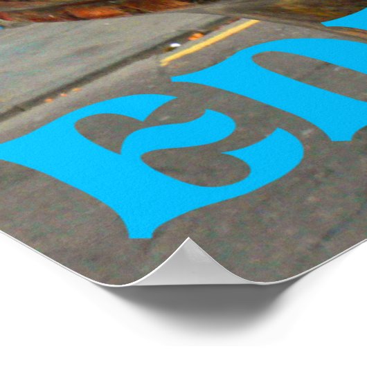 Grauschnäpper Poster (Ecke)