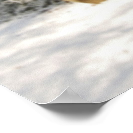 Grauschneewaldplakat Poster (Ecke)