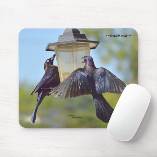 Grauschvögel Mousepad (Mit Mouse)