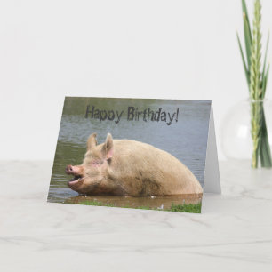 Grauschweine Geburtstag Karte