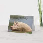 Grauschweine Geburtstag Karte (Vorderseite)