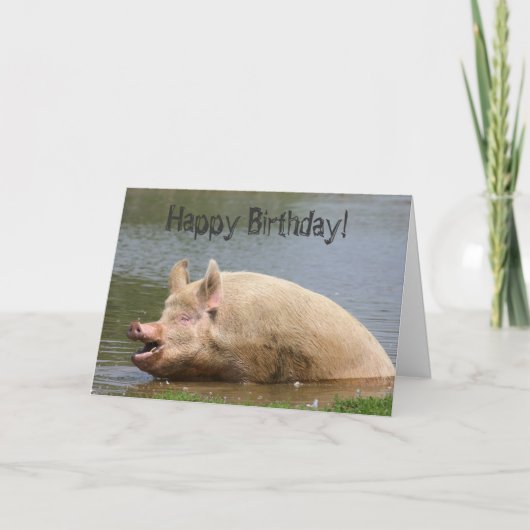 Grauschweine Geburtstag Karte (Vorderseite)