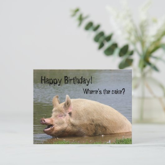 Grauschweine Geburtstag Postkarte (Stehend Vorderseite)