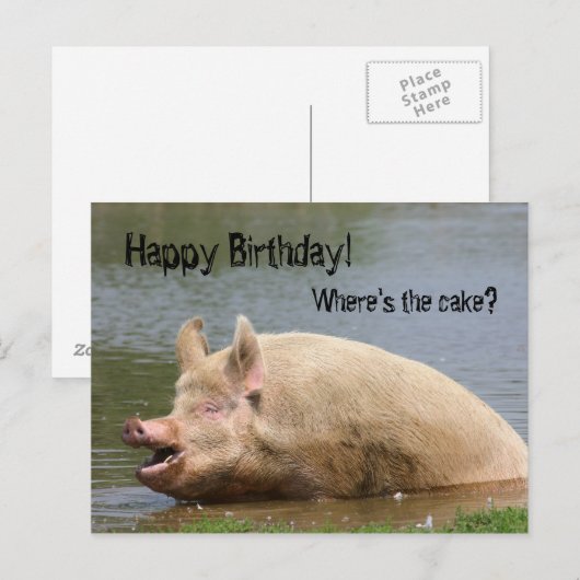 Grauschweine Geburtstag Postkarte (Vorne/Hinten)