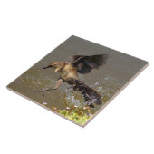 Grausevogel auf dem Wasser Klettersteig Fliese (Seite)