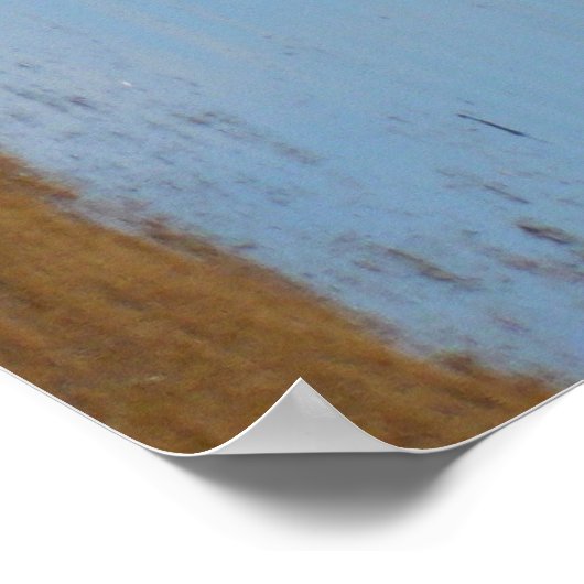 Grausevogel verlassen poster (Ecke)