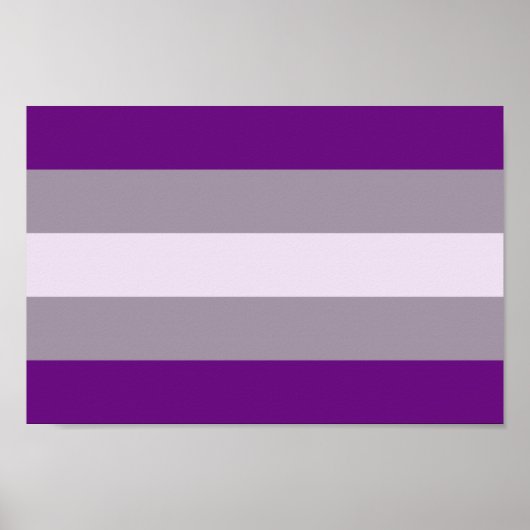 Grausexueller Stolz Poster (Vorne)