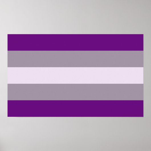 Grausexueller Stolz Poster (Vorne)