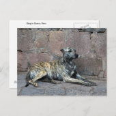 Graustreifen in Cusco, Peru Postkarte (Vorne/Hinten)