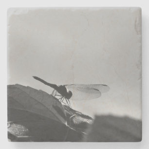 Graustufen-Dragonfly auf Stone-Untersetzer Steinuntersetzer