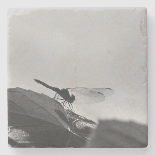Graustufen-Dragonfly auf Stone-Untersetzer Steinuntersetzer (Vorderseite)
